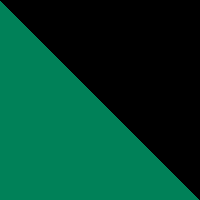 Team Kelly Green/Black