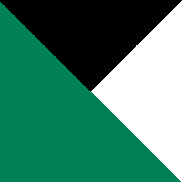 Team Kelly Green/Black/White