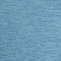 Blue Echo Heather