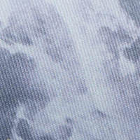 Cool Grey Seamoss Print