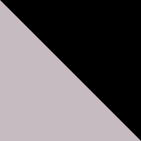 Gray Dawn/Black