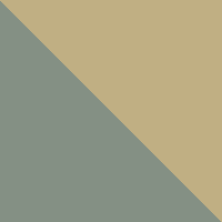 Silica Green/Metallic Gold
