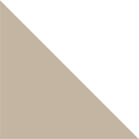 City Khaki/White