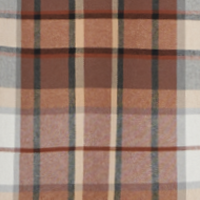 Rawhide Plaid