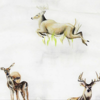 Little Fawn Big Yawn