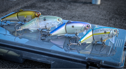 Strike King Fishing | Bass Pro Shops Strike King Fishing | Bass Pro Shops