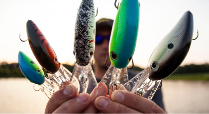 Strike King Fishing | Bass Pro Shops Strike King Fishing | Bass Pro Shops