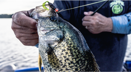 baitcaster reel storage Dr.Fish 2 Pack Baitcasting Fishing Cover Profective Low Profile Neoprene Left Right Handed Black Blue Bags Wraps Reel Case : Sports & Outdoors Color:Green Pumpkin Flash The case is equipped shimano-power-handle Avet EX 3-Speed Lever