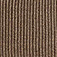 Desert Palm