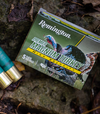 SHOTSHELLS