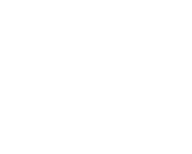 Vortex