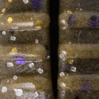 Green Pumpkin Purple