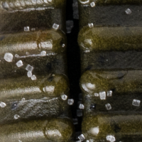 Green Pumpkin Orange Belly