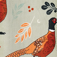 Pheasant