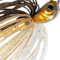Golden Shiner
