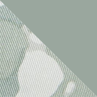 Hydro Green/Silica Green