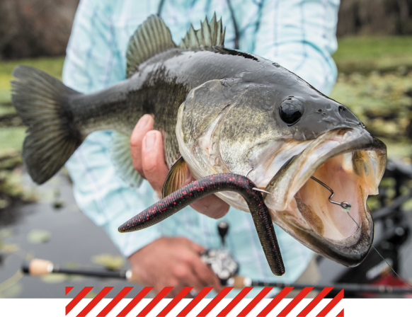 Click here to shop all Hooks