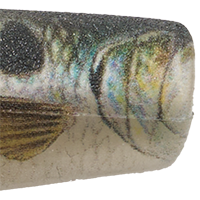 Live Gizzard Shad