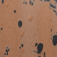 Bronze Barrelling Black