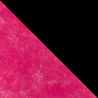 Shaded Fuchsia/Black