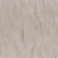 Birch