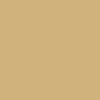Shiny Yellow Gold