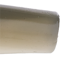 Ghost Shad