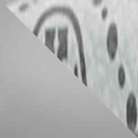 Silver/Monogram