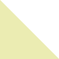 Sonic Yellow/White