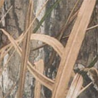 Habitat