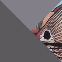 Shark/City Grey/Redfish Shine
