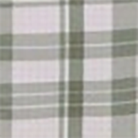 Kalamata Olive