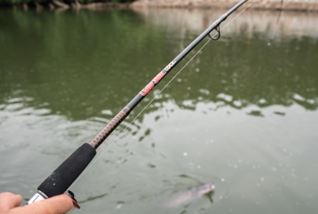 Shakespeare Ugly Stik Fishing | Bass Pro Shops