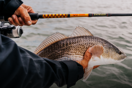 2018 shimano stella price Shimano STLSW10000PGD Stella SW D Spinning Reel