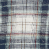 Egret Navy Plaid