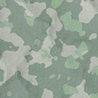 Fossil Foxhole Camo