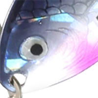 Silver Shiner