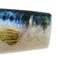 Live Sardine