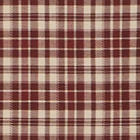 Raisin Plaid