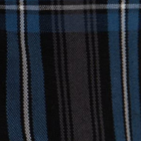 Blue Plaid