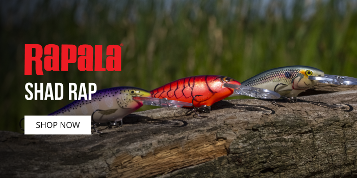 Fishing Gear & Tackle | Rods, Reels & Baits | Bass Pro Shops