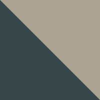 Kelp/Sand