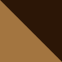 Carhartt Brown/Dark Brown