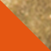 Hunter Orange/Brass