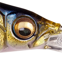 HT ITO Tennessee Shad