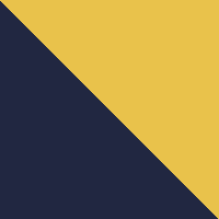 Naval Academy/Bright Marigold