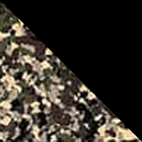 Army Camo/Black