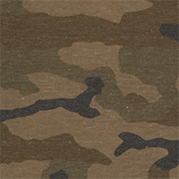 Woodland Camo