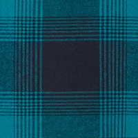 Teal Green Plaid