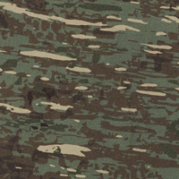 Major Digiscale